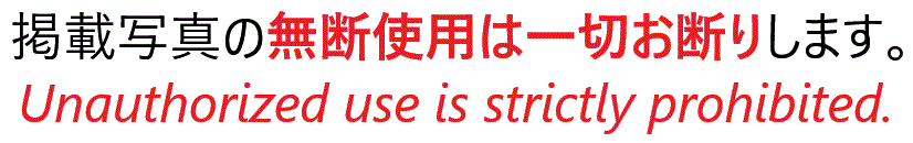 無断使用厳禁